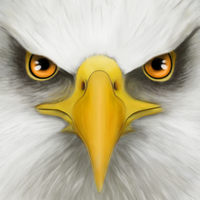 Ultimate Bird Simulator Ultimate Bird Simulator