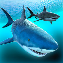 злой акула | бесплатные акулы рыбалка гонка