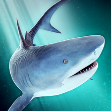 акула милый симулятор . бесплатно акулы веселье животное игра для детей