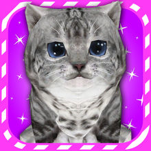 Virtual Pet Kitten