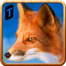 Life of Wild Fox