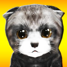 KittyZ, my virtual pet